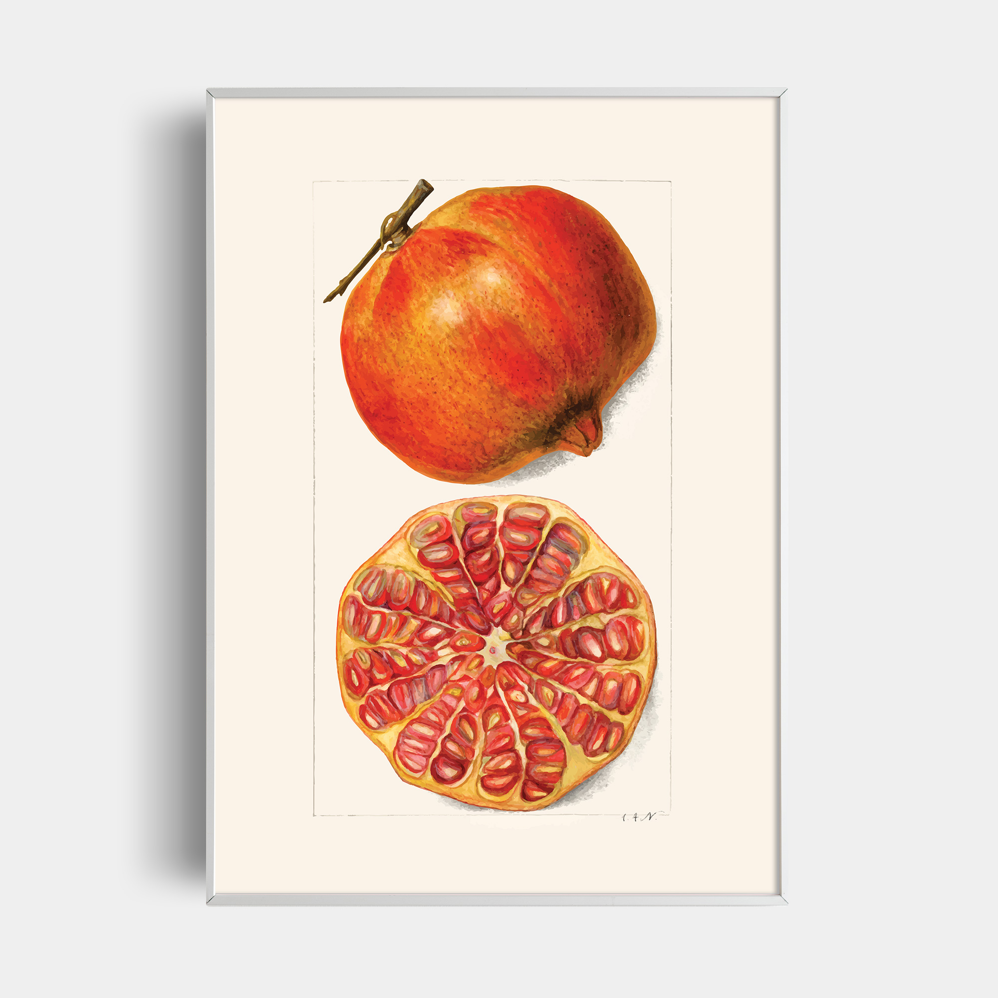 pomegranates-poster-pdf-posters